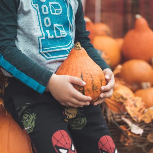A child in a blue sweater holding a small pumpkin at an outdoor fall market surrounded by gourds.