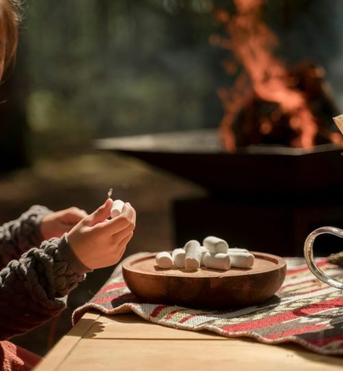 pexels-ron-lach-9212507